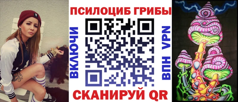 Псилоцибиновые грибы Cubensis  Ессентуки 