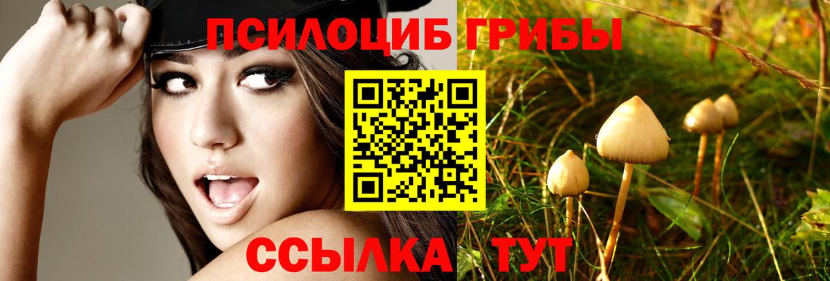 Ессентуки  Галлюциногенные грибы MAGIC MUSHROOMS  Галлюциногенные грибы Magic Shrooms  Вход с VPN 